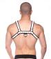 Preview: Prowler RED Bull Harness Black/White Large