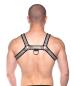 Preview: Prowler RED Bull Harness Grey Medium