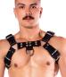 Preview: Prowler RED Butch Harness Premium Black Small