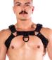 Mobile Preview: Prowler RED Noir Harness Premium Black Small
