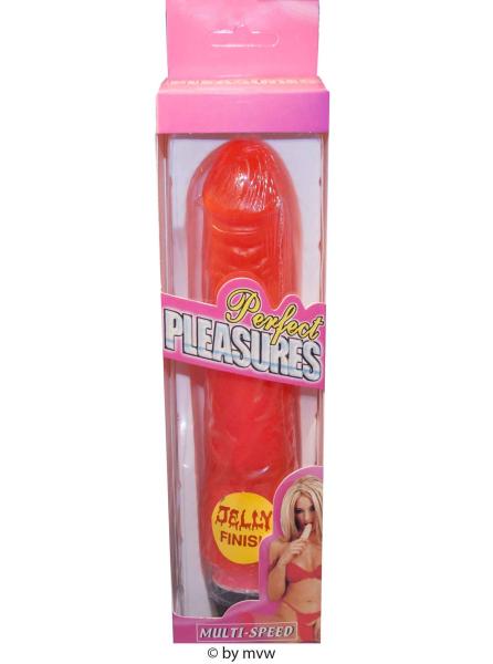 Perfect Pleasure Willy Vibrator Jelly