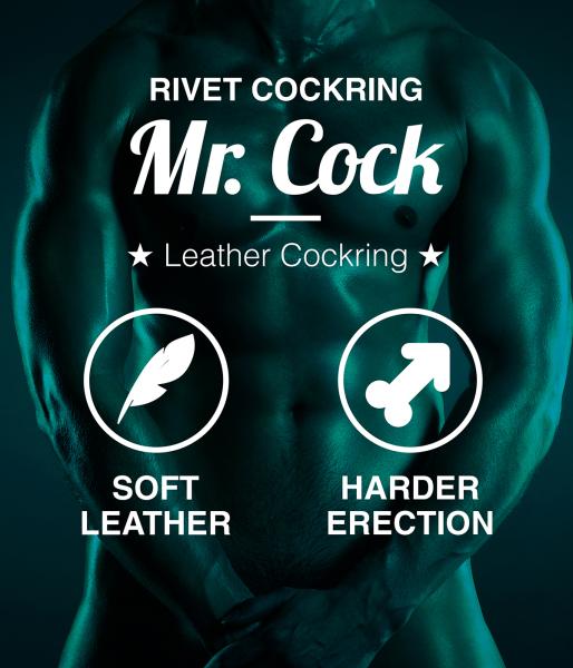 Mr.Cock Rivet Leather Cockring black